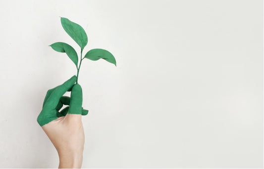 Green Packaging Market set to Increase to 2024