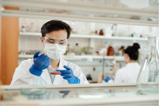 Sterile and Medical Packaging Markets to See Record Growth in 2024